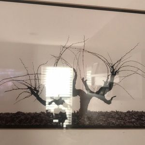 Meet your Posher, Gina